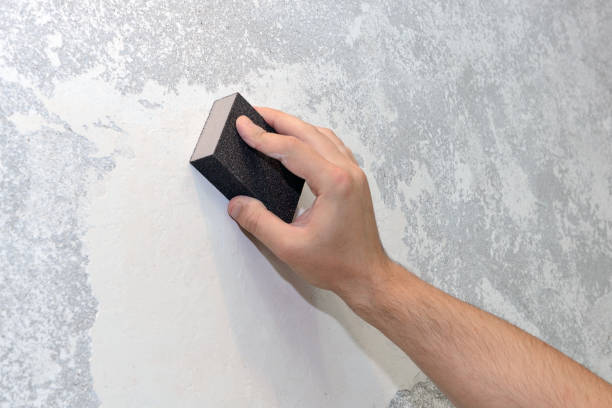Mold Odor Removal Services in Osakis, MN