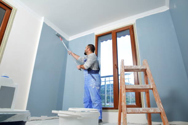Best Mold Removal for HVAC Installations  in Osakis, MN