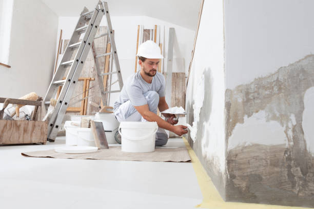 Best Attic Mold Removal  in Osakis, MN