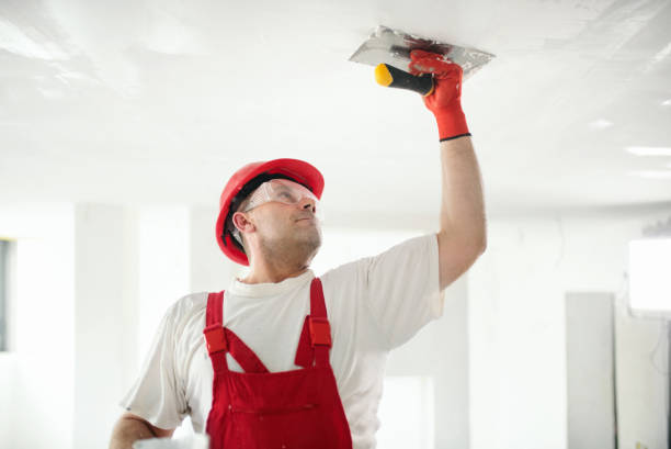 Best Biohazard Mold Removal  in Osakis, MN
