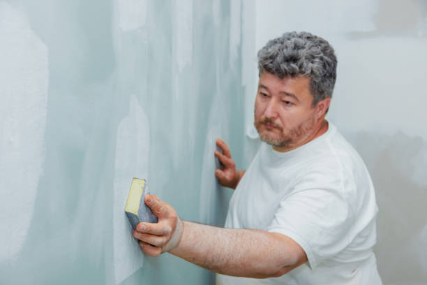 Best Mold Odor Removal Services  in Osakis, MN