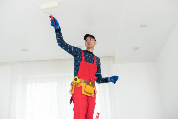 Best Basement Mold Removal  in Osakis, MN