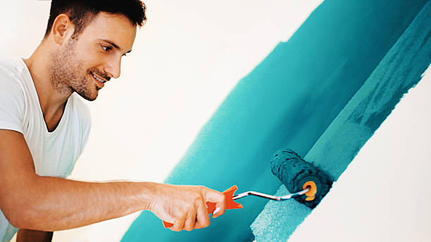 Best Mold-Related Health Consultation  in Osakis, MN