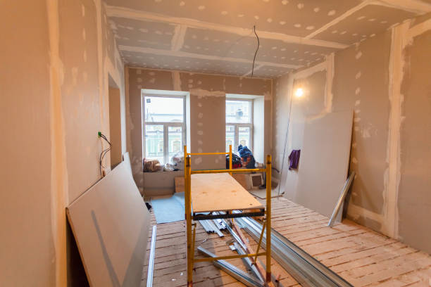 Best Post-Construction Mold Inspection  in Osakis, MN