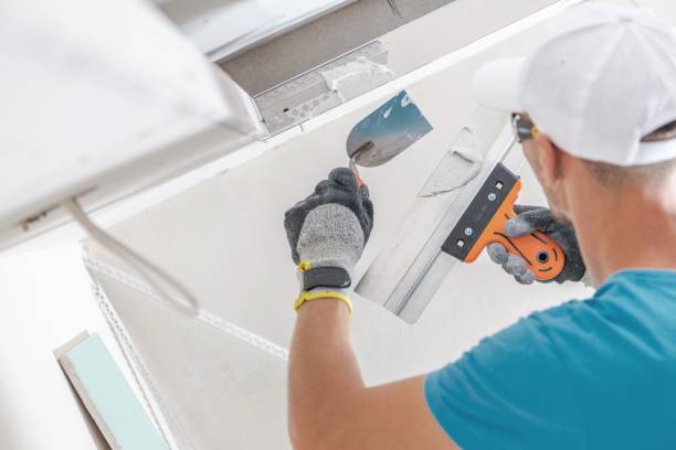 Best Dehumidification Services  in Osakis, MN